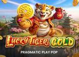 Lucky Tiger Gold